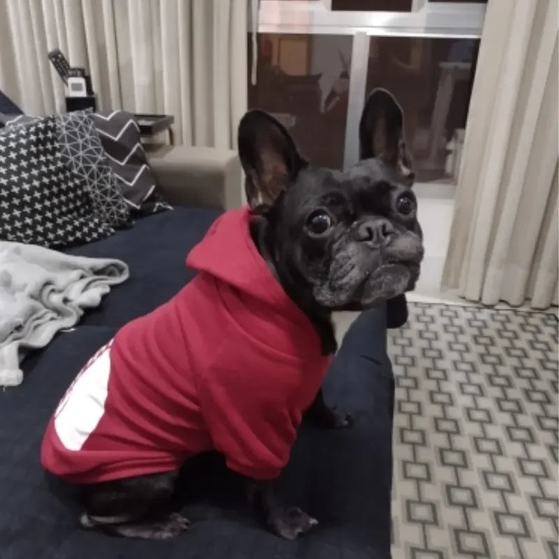 Hoodie The Dog Face